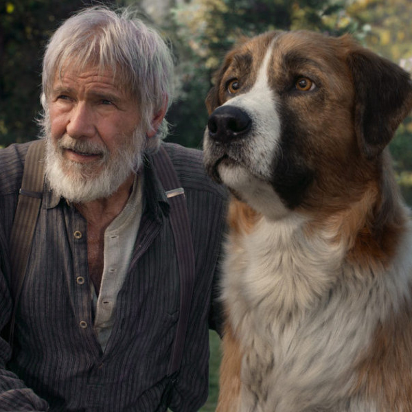 Disney dévoile la bande annonce du film L'Appel de la Forêt avec
