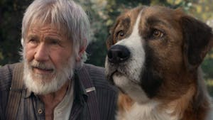 Disney dévoile la bande annonce du film L'Appel de la Forêt avec Harrison Ford