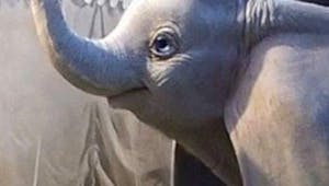 Disney dévoile les premières images de Dumbo de Tim Burton