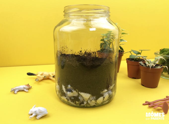 Terrarium bocal en verre fermé - créer un mini jardin - PRÊT A JARDINER