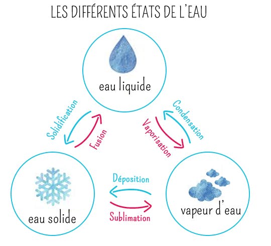 Le cycle de l'eau : Schémas, Définitions, Étapes | MOMES.net