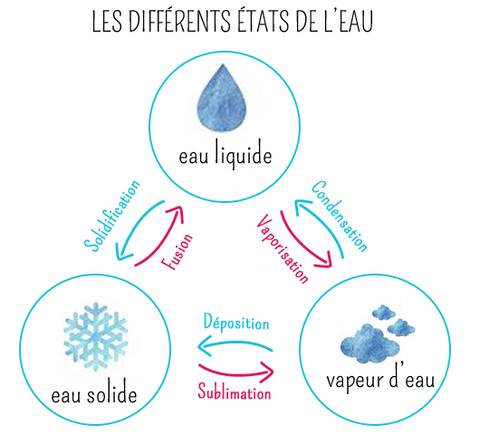 Le Cycle De L’eau : Schémas, Définitions, Étapes | MOMES