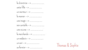 Exercice de grammaire à imprimer : noms féminins et masculins (2)