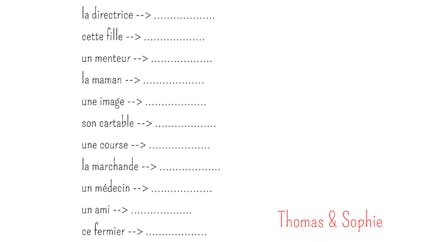 Exercice de grammaire : noms féminins et masculins (2)