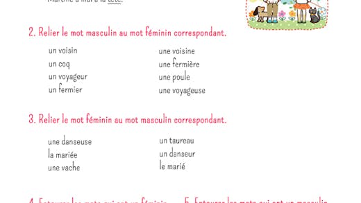 Exercice de grammaire : noms communs féminins et masculins