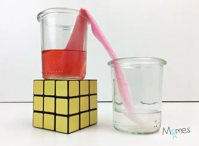 Expérience : remontée d'eau par capillarité | MOMES