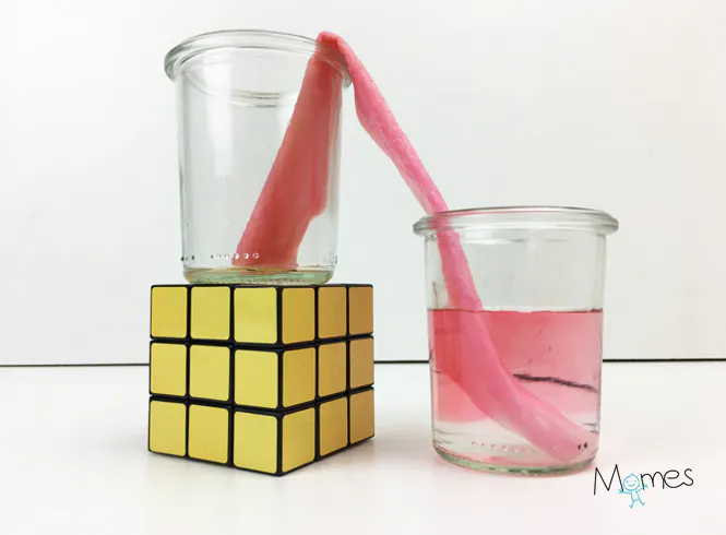 Expérience : remontée d'eau par capillarité | MOMES