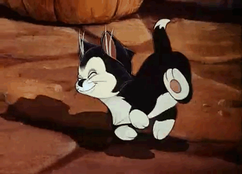 Le célèbre chat Figaro dans Pinocchio