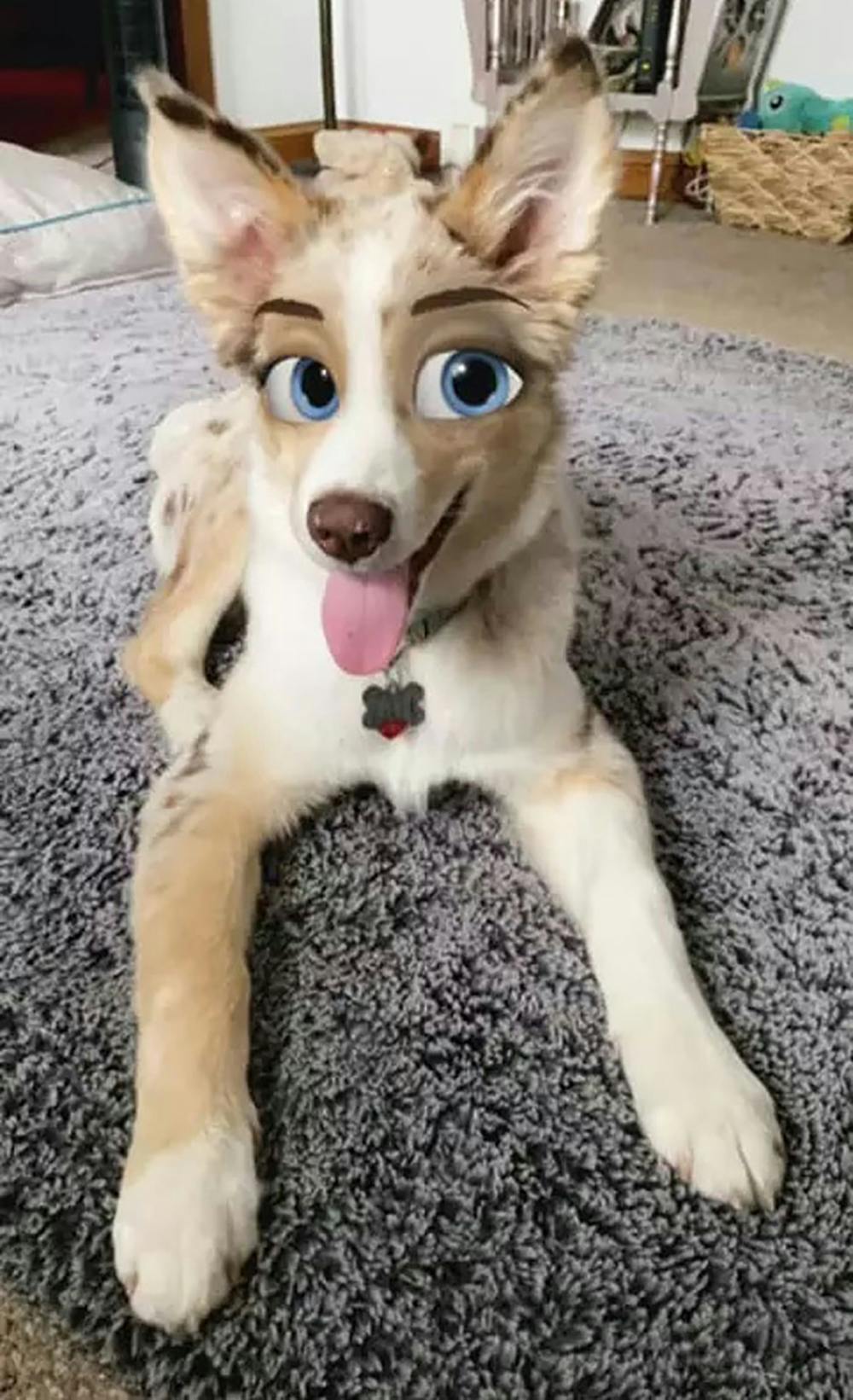 Quand Snapchat Transforme Les Chiens En Personnages Disney Momes Net Quand Snapchat Transforme Les Chiens En Personnages Disney Momes Net