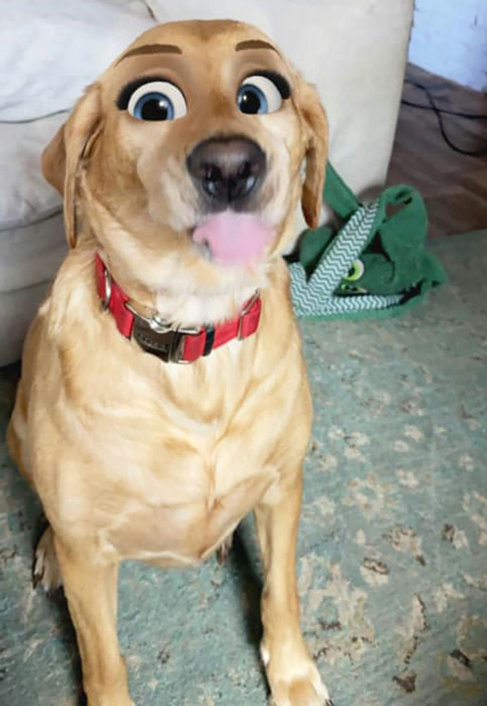 Quand Snapchat Transforme Les Chiens En Personnages Disney Momes Net Quand Snapchat Transforme Les Chiens En Personnages Disney Momes Net