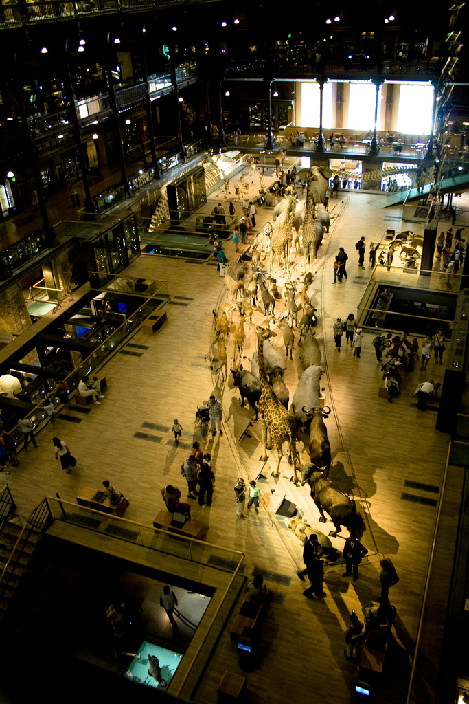 Grande Galerie De L évolution évènements à Venir Grande Galerie de l'Evolution | MOMES.net