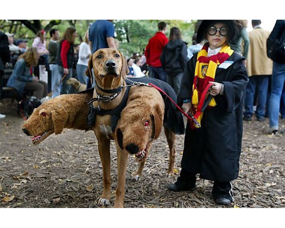Harry Potter et Touffu déguisements enfants
        halloween