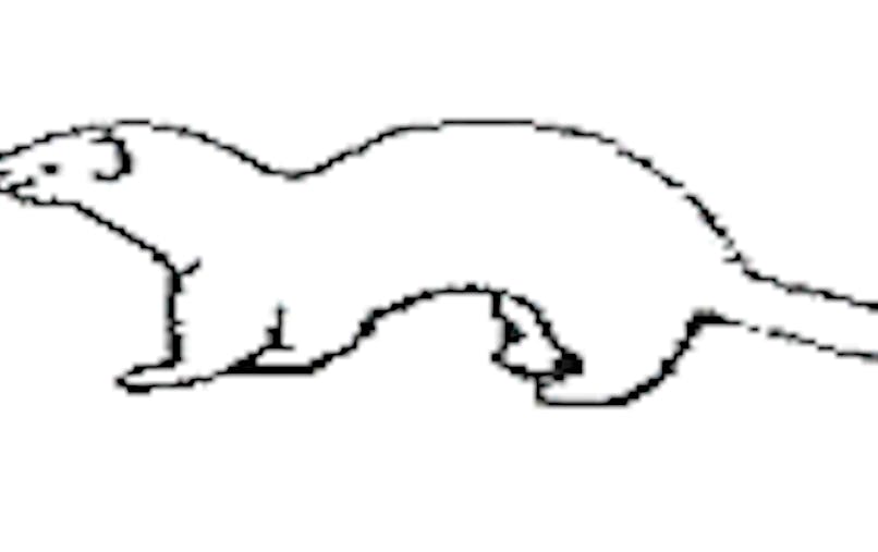Il Court Le Furet Momes Net Il Court Le Furet Momes Net