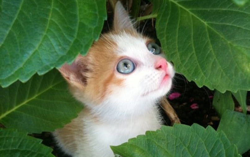 Il Etait Une Bergere Momes Net Il Etait Une Bergere Momes Net