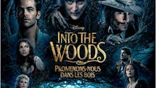 Into the woods, Promenons-nous dans les bois