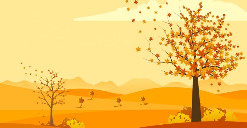 IllustraPaysage dans les couleurs de l'automne, arbres qui perdent leurs feuilles.