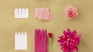 Jolies fleurs en papier crépon