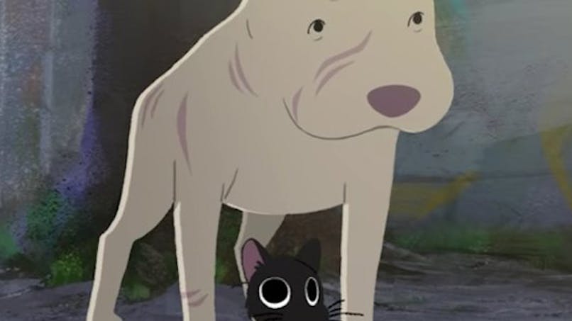 kitbull court métrage pixar amitié chien chat