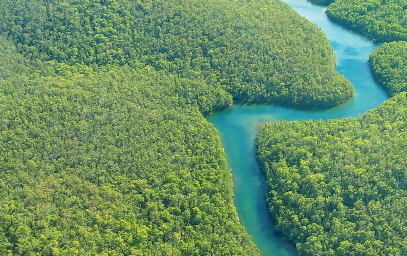 L Amazonie Destruction Et Disparition Momes Net L Amazonie Destruction Et Disparition Momes Net