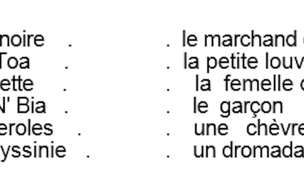 L'oeil du promo loup