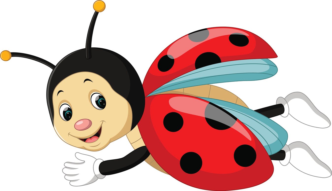 La Coccinelle Momes Net