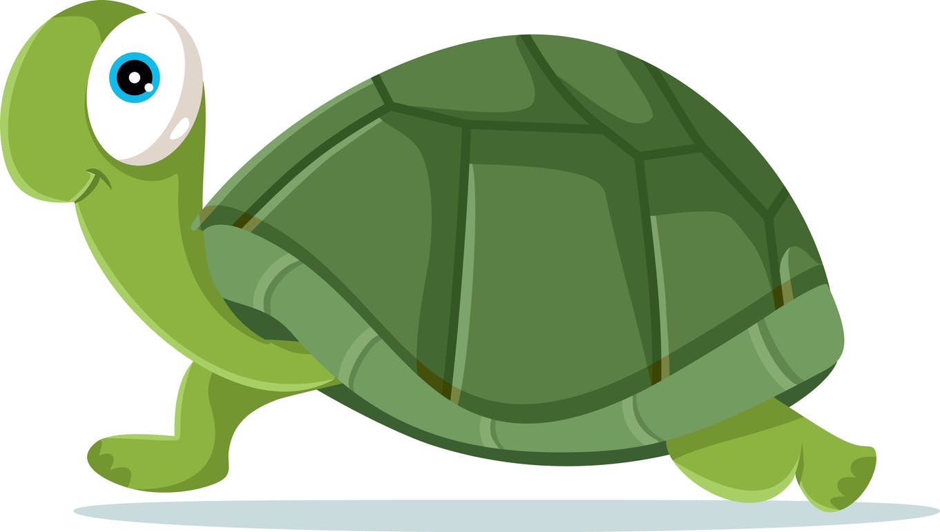 La Famille Tortue Momes Net La Famille Tortue Momes Net