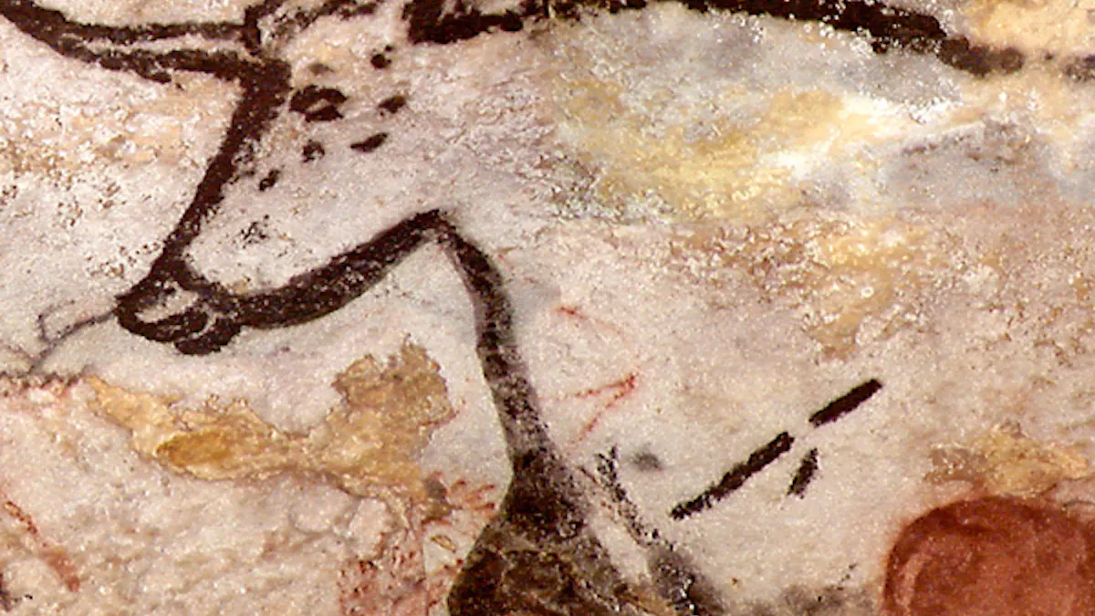 La Grotte De Lascaux Et L Homme De Tautavel Momes Net La Grotte De Lascaux Et L Homme De Tautavel Momes Net