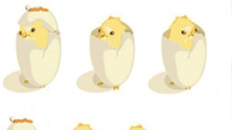 La Naissance Des Poussins Momes Net La Naissance Des Poussins Momes Net