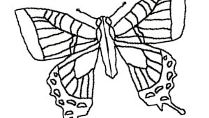 La symétrie du papillon : exercice de coloriage (niveau 1)