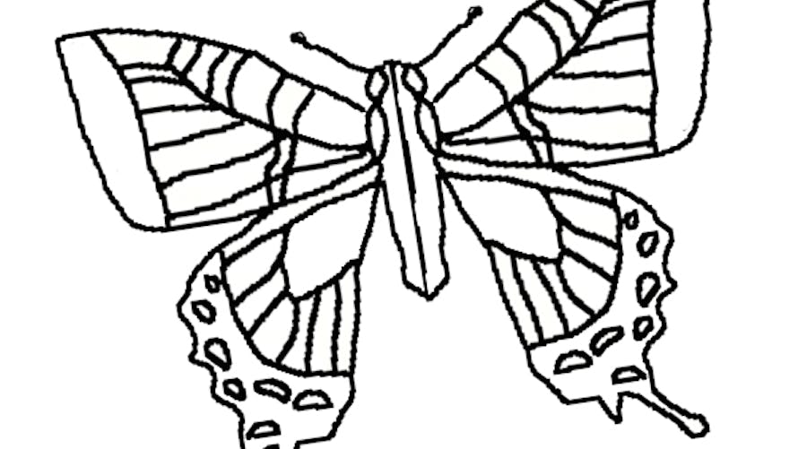 Exercice de coloriage avec un papillon