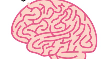 cerveau labyrinthe cerveau labyrinthe