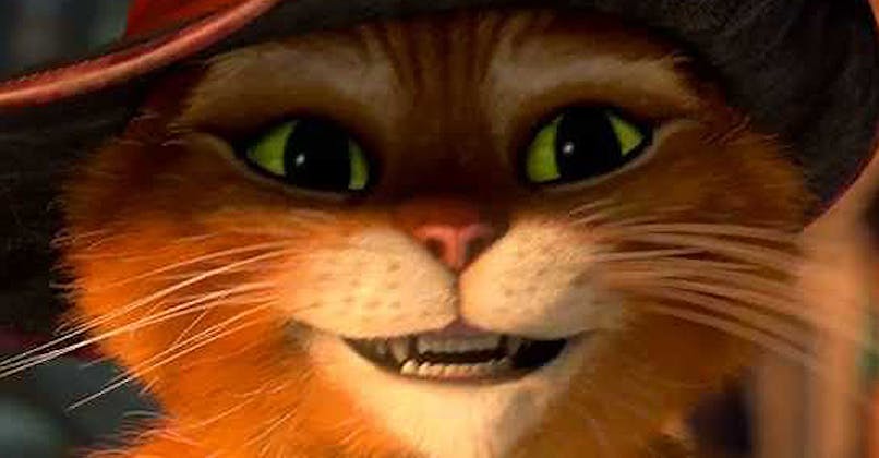 Le Chat Potte 2 Bientot Le Retour Du Plus Charmeur Des Chats Momes Le Chat Potte 2 Bientot Le Retour Du Plus Charmeur Des Chats Momes