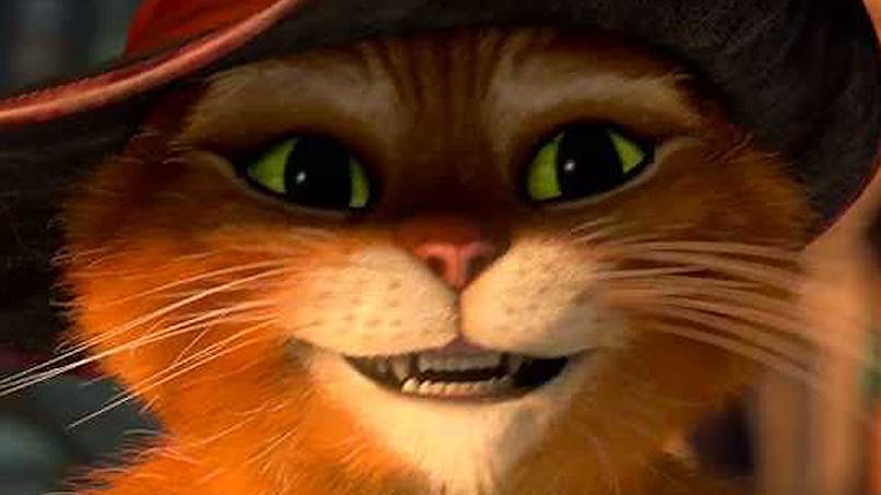 Le Chat Potte 2 Bientot Le Retour Du Plus Charmeur Des Chats Momes Net Le Chat Potte 2 Bientot Le Retour Du Plus Charmeur Des Chats Momes Net
