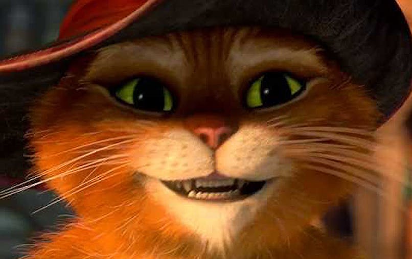 Le Chat Potte 2 Bientot Le Retour Du Plus Charmeur Des Chats Momes Net Le Chat Potte 2 Bientot Le Retour Du Plus Charmeur Des Chats Momes Net