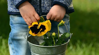 Le dictionnaire du jardinage Le dictionnaire du jardinage