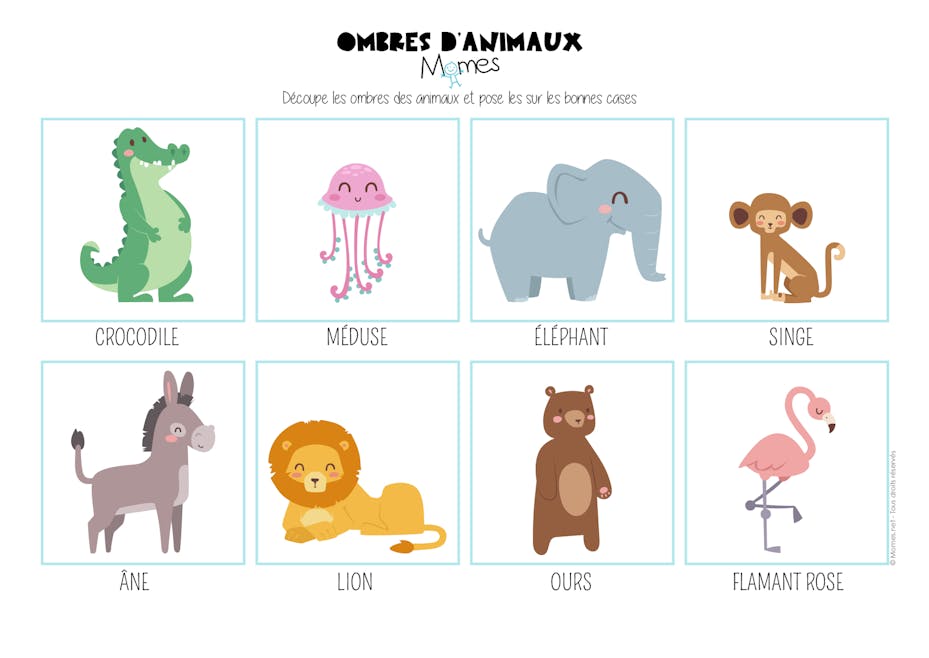 Le Jeu Des Ombres D Animaux Momes Net Le Jeu Des Ombres D Animaux Momes Net