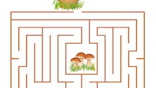 Labyrinthe de la cueillette aux champignons