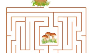 Labyrinthe de la cueillette aux champignons