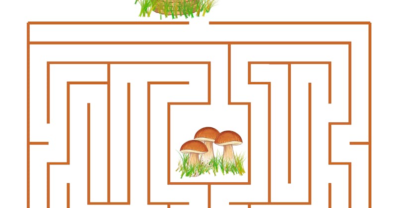 Le labyrinthe de la cueillette aux champignons