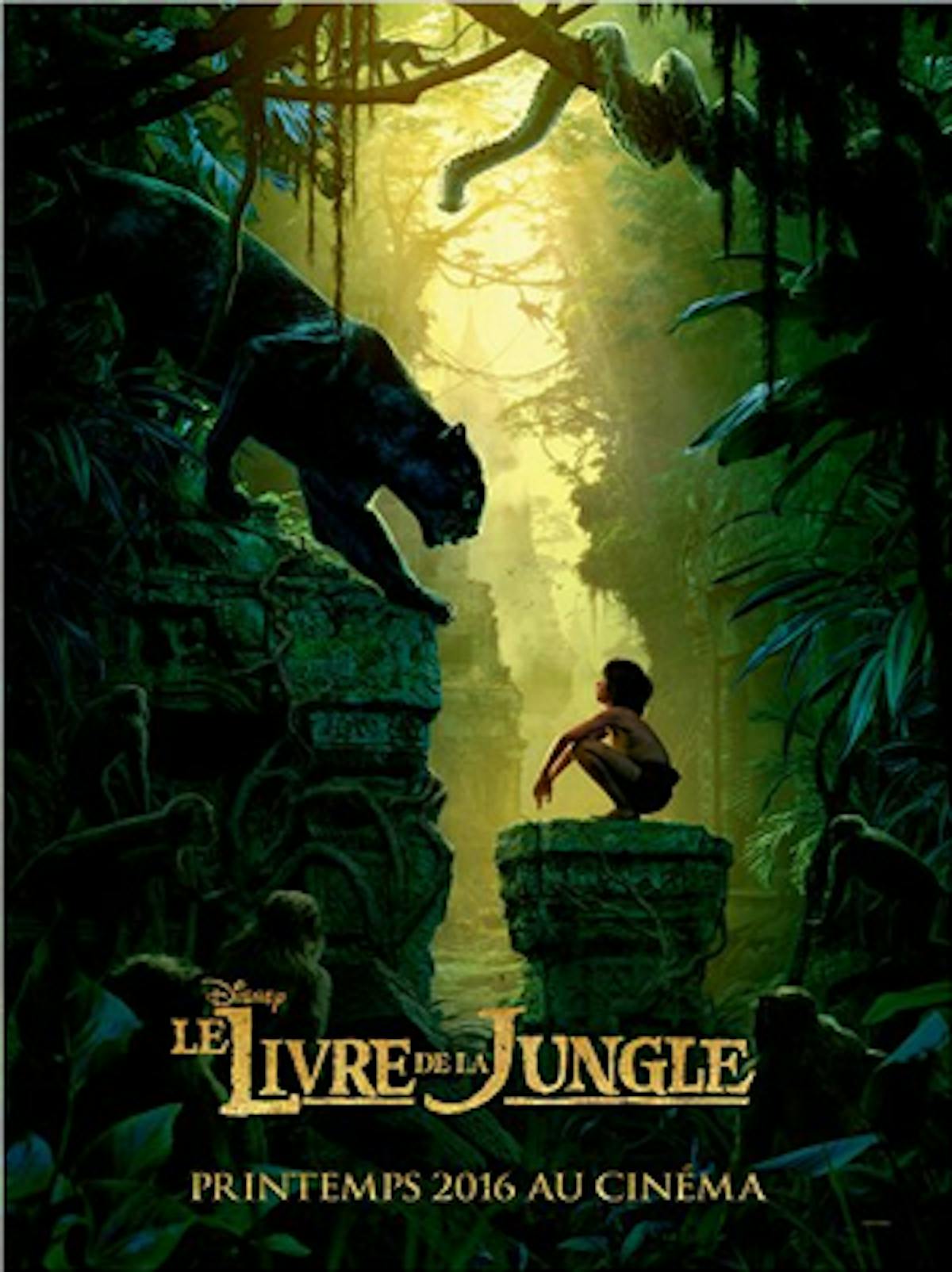 Le Livre de la jungle : Top 20 des animaux de la jungle les plus