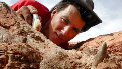 Le métier de paléontologue expliqué aux enfants