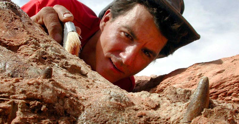 Le métier de paléontologue