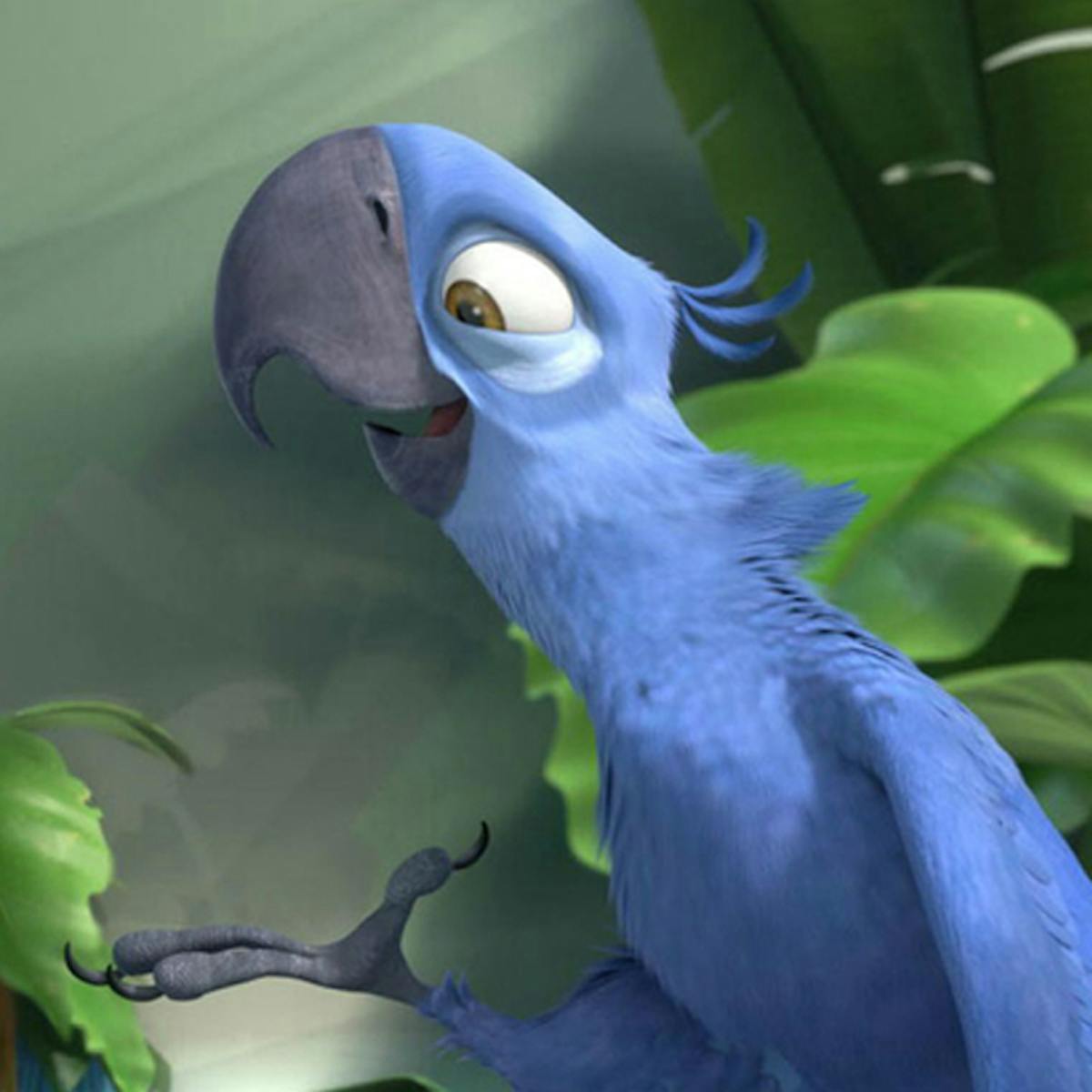 Le perroquet bleu du dessin animé Rio est officiellement une ...
