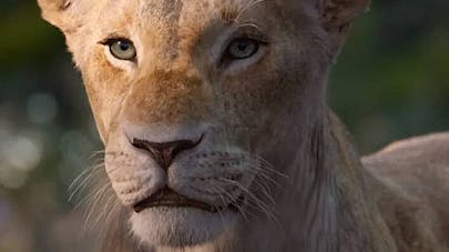 Le roi lion film live-action Disney Beyoncé est
Nala Le roi lion film live-action Disney Beyoncé est
Nala
