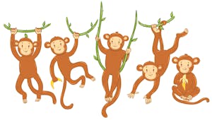 Le singe