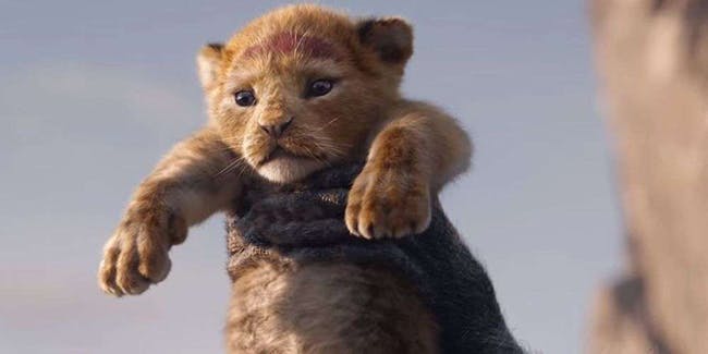Le Roi Lion : les voix françaises du film Disney enfin dévoilées