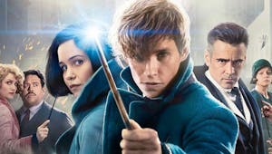 Les Animaux Fantastiques Les Crimes De Grindelwald Momes Net