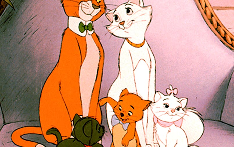 Les Aristochats Existent Pour De Vrai Momes Net Les Aristochats Existent Pour De Vrai Momes Net