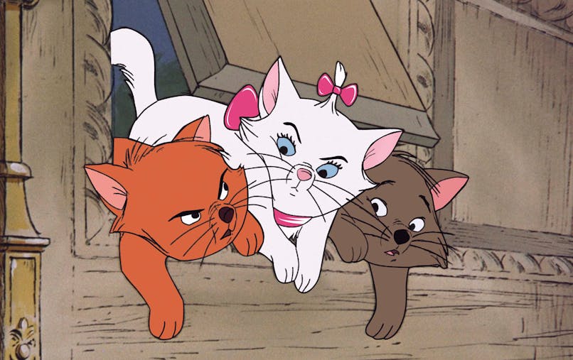 Les Chats Celebres Momes Net Les Chats Celebres Momes Net
