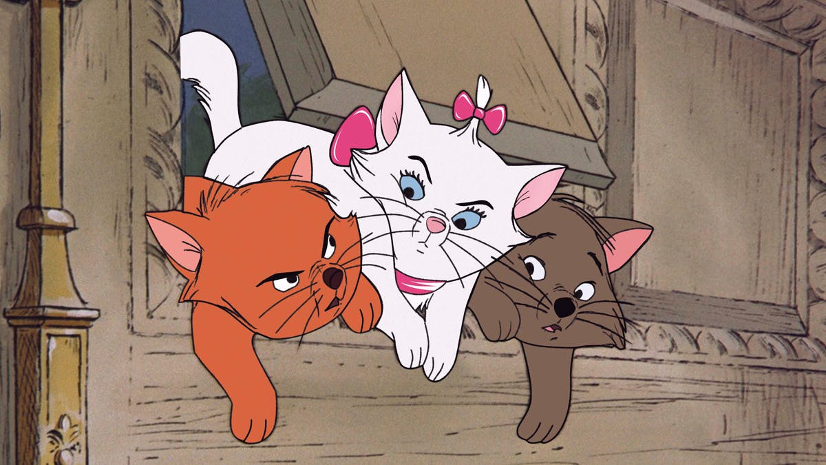 Decouvrez Les Chats Les Plus Celebres D Internet Ou Des Productions Culturelles De Notre Enfance Momes Net Decouvrez Les Chats Les Plus Celebres D Internet Ou Des Productions Culturelles De Notre Enfance Momes Net